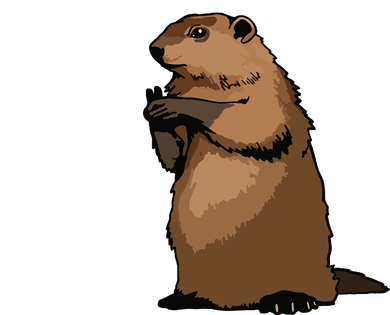 Groundhog Day Shadow Puppet Funny Gift Button