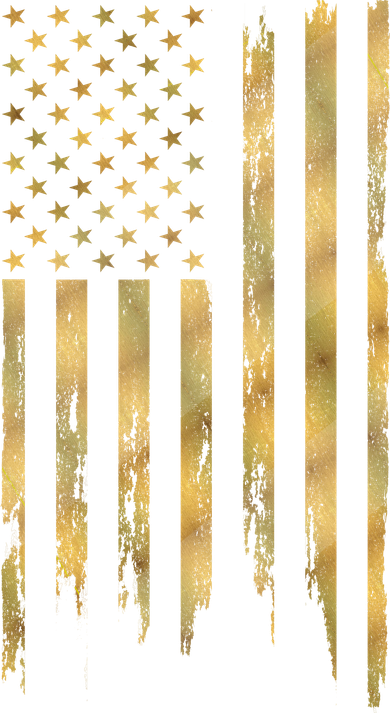 Gold American Flag Limited Addition  Kids T-Shirt