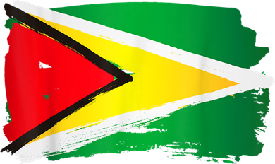 Guyana Flag Paint Style Women's Sweatshirt