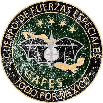 GAFES GAFE Mexican Special Force Fuerzas Mexican Patriot Kids Hoodie