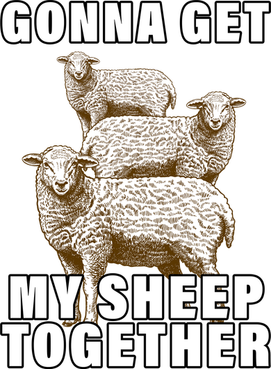Gonna Get My Sheep Together Kids Hoodie