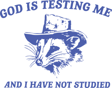 God Is Testing Me Possum Weird Opossum Kids Long Sleeve Shirt