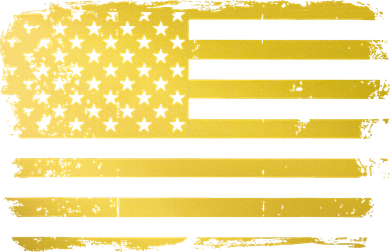 Gold Look American Flag Usa Kids Sweatshirt