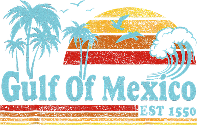 Gulf Of Mexico Est 1550 Retro Vintage Beach For Kids Sweatshirt