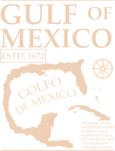 Gulf Of Mexico 1672 Historic Map Women's T-Shirt