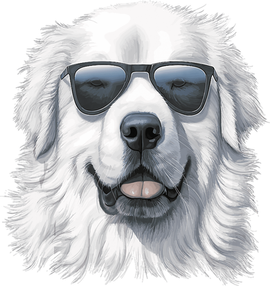 Great Pyrenees Dog With Sunglasses Great Pyrenees Button
