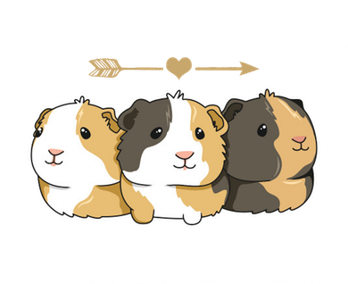 Guinea Pig Whisperer Kids T-Shirt