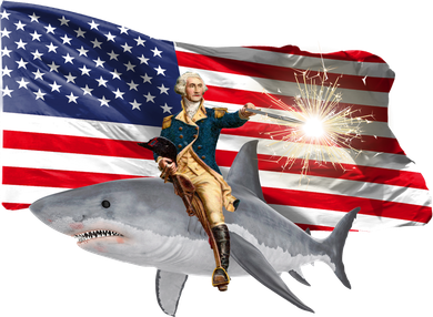Patriotic George Washington On A Shark Women's Tank Top