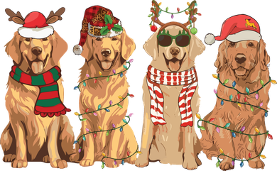 Golden Retriever Christmas Dogs Lights Kids Sweatshirt