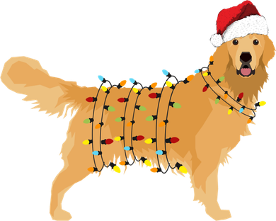 Golden Retriever Holiday Christmas Light Essential Kids Sweatshirt