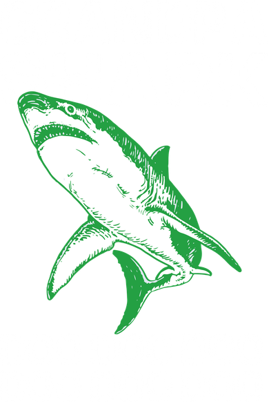 Grandpa Shark Doo Women's T-Shirt
