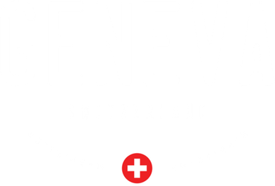 Geneva Switzerland Flag Cool Gift Hooded Wearable Blanket