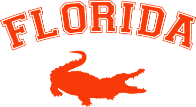 Gator School Sports Fan Team Spirit Mascot Heart Gift Kids Hoodie