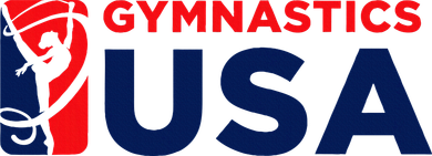 Gymnastics Usa Support The T.E.A.M. U.S.A Flag Toddler Hoodie