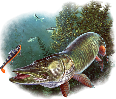 Musky Chase Fishing Tote Bag