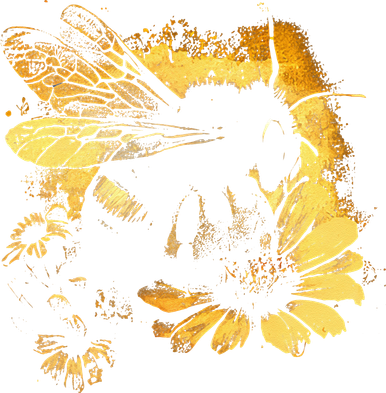 Honeybee And Bumble Bee For American Hive Beekeepers Women's T-Shirt