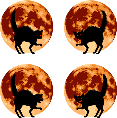 Halloween Cat with Full Moon Phases Women's Hoodie