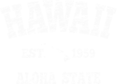 Hawaiian Aloha State Vintage Hawaiian Islands  Coaster