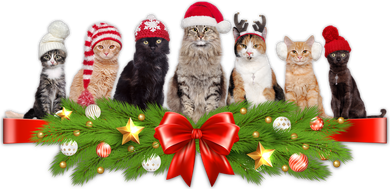 Holiday Christmas Cats Golf Towel