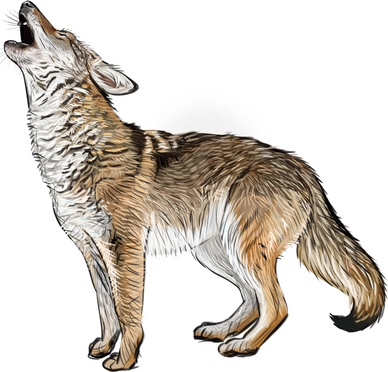 Howling Coyote Doggie Tank