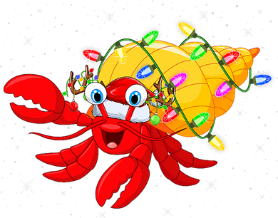 Hermit Crab Lover Xmas Lighting Santa Hermit Crab Christmas Pajama Set