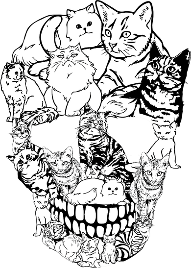 Halloween Cat Skull Kitty Skeleton Costume Skull Cat Women's T-Shirt