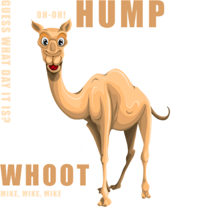 Hump Day Meaningful Gift Guess What Day It Is Gift Kids T-Shirt