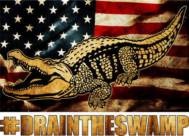 Drain The Swamp Washington DC Donald Trump President Women's Tank Top