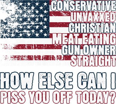 How Else Can I Piss You Off Today Us Flag Toddler Hoodie