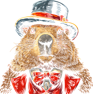 Happy Groundhog Day Ground Hog With Hat Animal Lover Coaster
