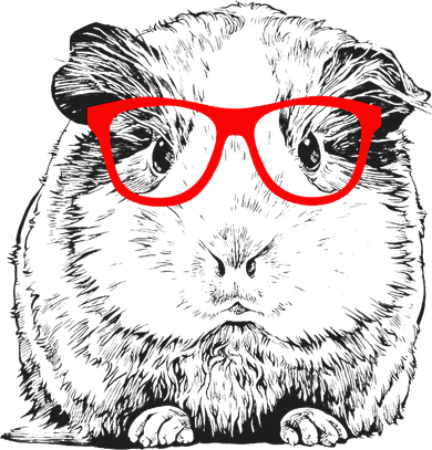 Hipster Guinea Pig In Red Glasses Pet Animal Women's Tank Top