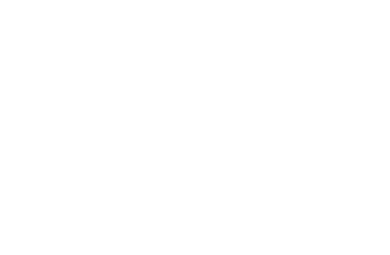 Hawaii Home State Doggie Tank