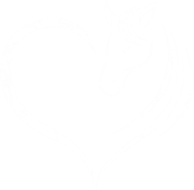 Horse Head Inside Heart Women Ladies Girls Teens Kids Gift Cool Gift Women's Hoodie