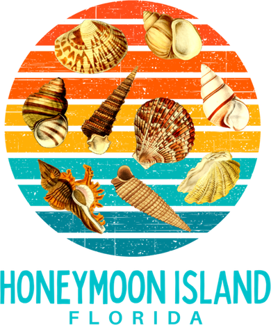 Honeymoon Island Florida Beach Shells Novelty Funny Gift Hooded Wearable Blanket