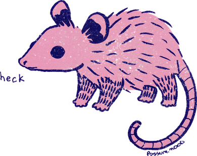 Heck Opossum Funny Animal Gift For  Toddler Long Sleeve