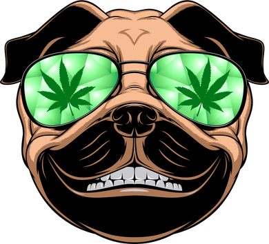 High Off Weed Smiling Pug Button