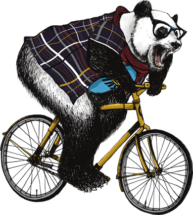 Hipster Panda Riding Bicycle Women's Hoodie