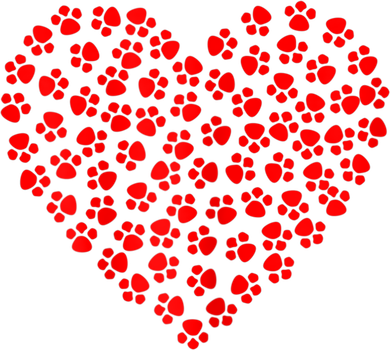 Heart Paw Dog Love Funny Valentines Day Gift For Girls Women Sweatshirt