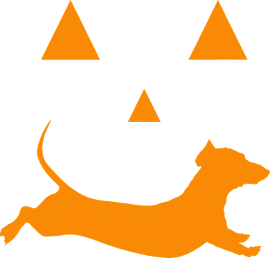 Halloween Pumpkin Dachshund Jackolantern Costume Hat