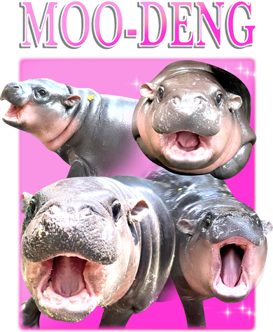 Hot Pink Moo Deng Hippo Meme Funny Women's T-Shirt