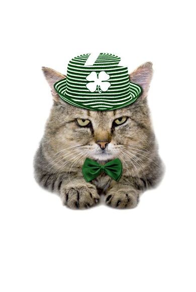 Happy St Catrick's Day Irish Cat Kids T-Shirt