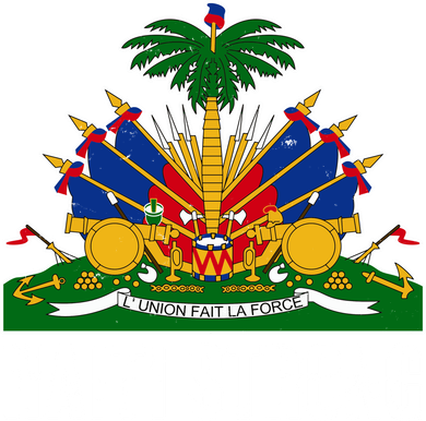 Haiti Strong Flag Symbol Logo Kids Hoodie