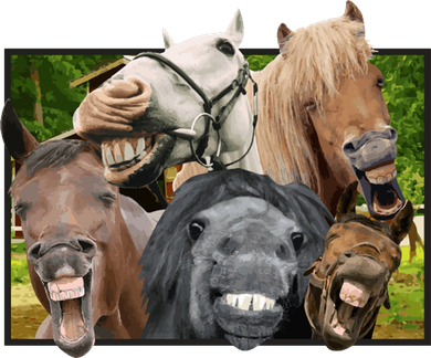Horses Selfie Funny Tote Bag