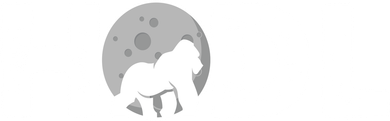 Hodl Stonk to the Moon Ape Crypto Currency Kids Sweatshirt