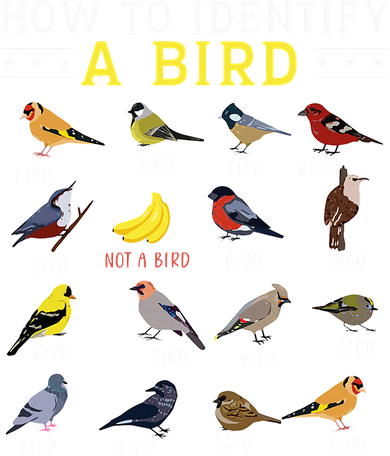 How To Identify A Bird Bird Watcher Bird Lover Mousepad