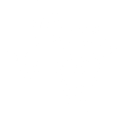 Texas Home State Women's Sweatshirt