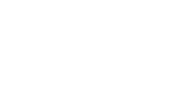 Virginia Home State Doggie Tank