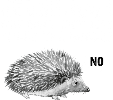 Hedgehogs Why Don't They Just Share The Hedge Funny Women's Sweatshirt