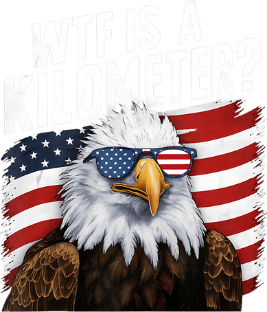 Hilarious Wtf Is A Kilometer 4th Of July Independence Day Hat