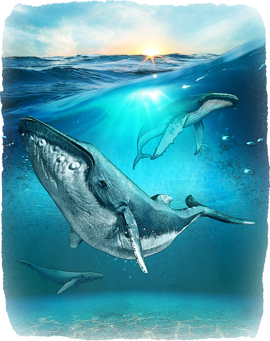 Humpback Whale Sea Ocean Women's Tank Top